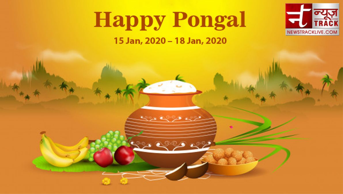 Know how to observe Pongal and importance of five days of this festival
