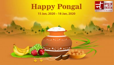 Know how to observe Pongal and importance of five days of this festival