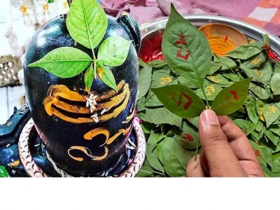 Lord Shiva's Favorite Offering: The Significance of Bel Leaves in Hindu Worship
