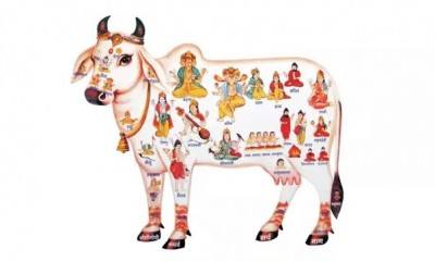 The Sacred Significance of Cows in Hinduism
