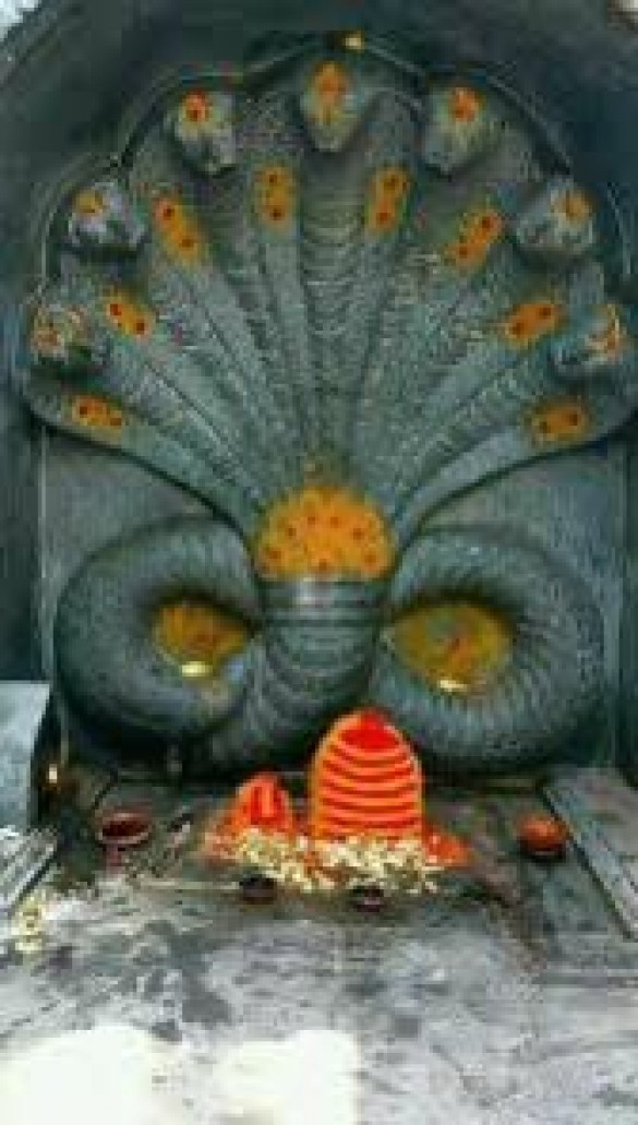 Nag Panchami – celebrating the serpent god in Hindu tradition