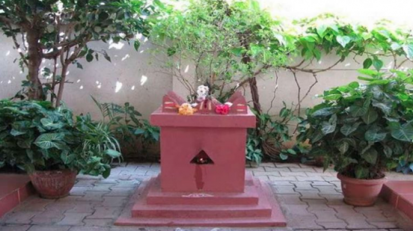 Vastu Tips for Tulsi: Do not touch Tulsi at this time, even by mistake