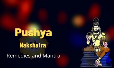 Pushya Nakshatra 2023: An Auspicious Time for New Beginnings and Shopping