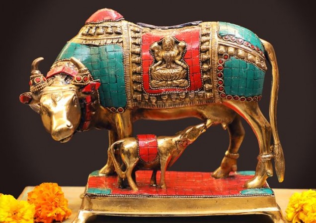 Place the Kamadhenu Cow Idol in This Direction at Home and Office to Reap Benefits