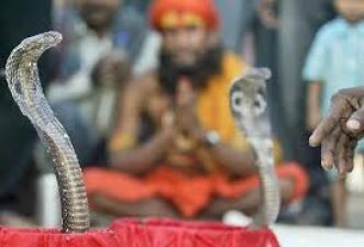 Know the importance of worshipping Snake in India