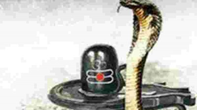 Know why Gower's snakes are made on Nag Panchami