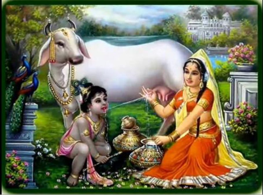 भगवान श्री कृष्ण और गौ माता का संबंध, जानिए इस अद्भुत रहस्य के बारे में ?