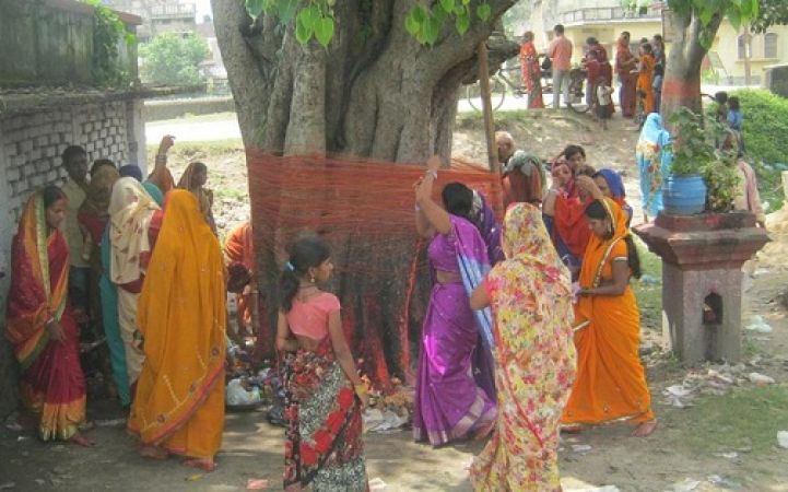 पीपल के पेड़ पर दूध और तिल चढाने से दूर जाती है सभी समस्याए