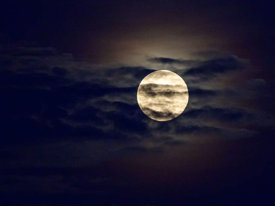 बहुत ही शुभ होता है चंद्र दर्शन का दिन, जानिए इसका महत्व और शुभ मुहूर्त