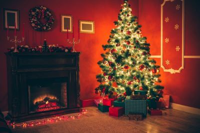 क्रिसमस ट्री के बिना अधूरा होता है सेलिब्रेशन, जानिए वृक्ष का महत्व और रोचक तथ्य