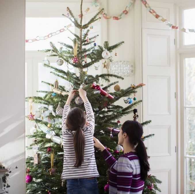 Christmas 2019: Know some unique facts related to Christmas tree