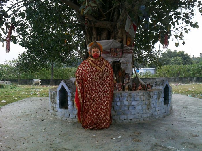 बरगद के पेड़ में रहते है हनुमानजी