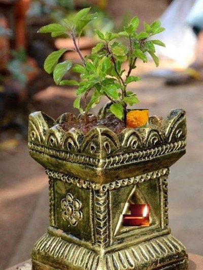 देव दीपावली: तुलसी के पत्ते का ये छोटा सा उपाय बना देगा आपको मालामाल