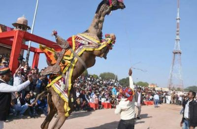 Camel festival of Bikaner: Camels dance here, know other attraction which will win your heart
