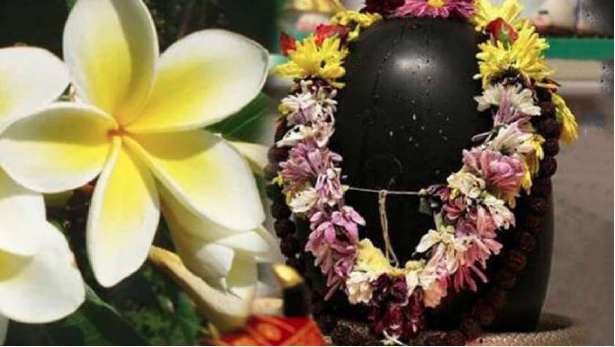 शिव जी के पूजा में वर्जित है केतकी का फूल, दिया गया था श्राप