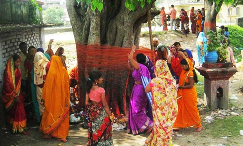 हरियाली अमावस्या के दिन करे इन पेड़ पौधों की पूजा