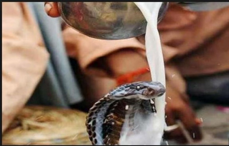 Nag Panchami: Some interesting facts related to snakes