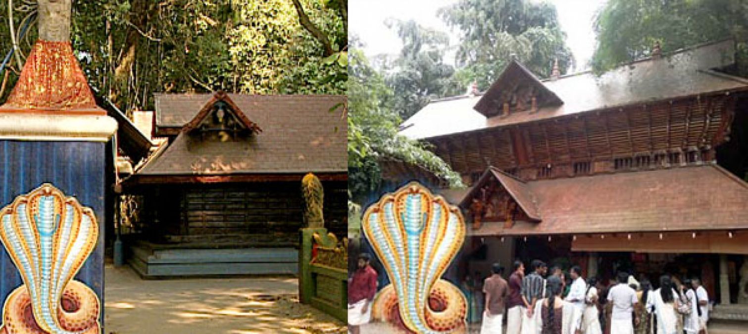नाग पंचमी : देशभर में प्रसिद्ध है नागदेवता के ये 3 मंदिर