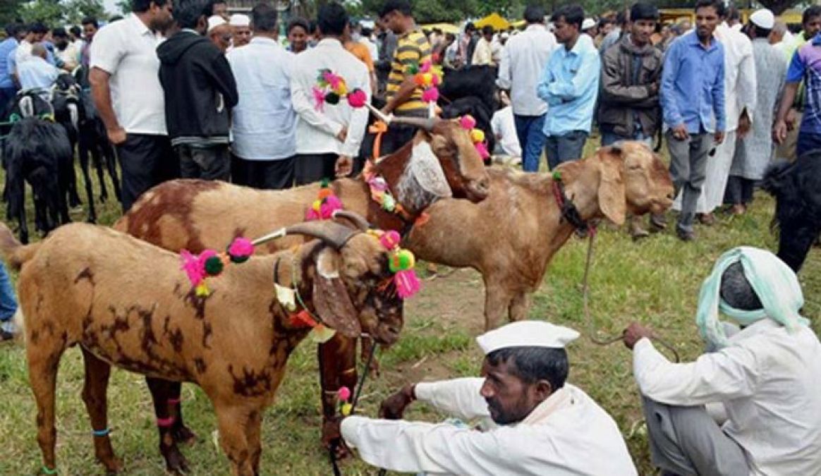 Learn why animals are given as sacrifices Bakrid!