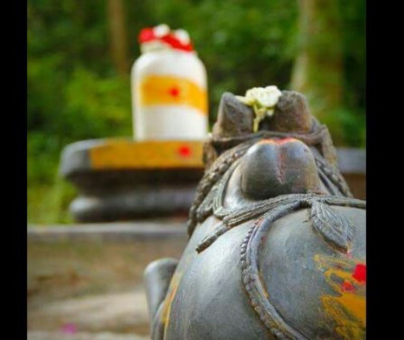 After all, why are the darshans of Bhole Baba done from between the horns of Nandi?