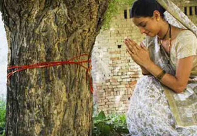 राशि के अनुसार करे पेड़ पौधों की पूजा