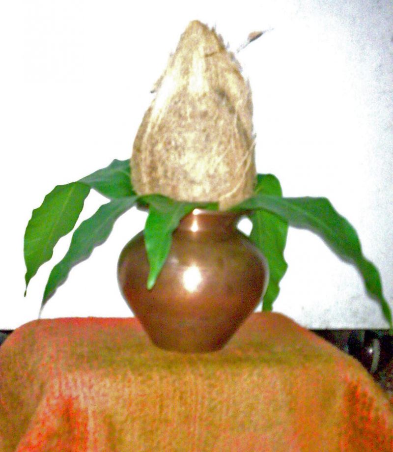 जानिए पूजा में नारियल का महत्व