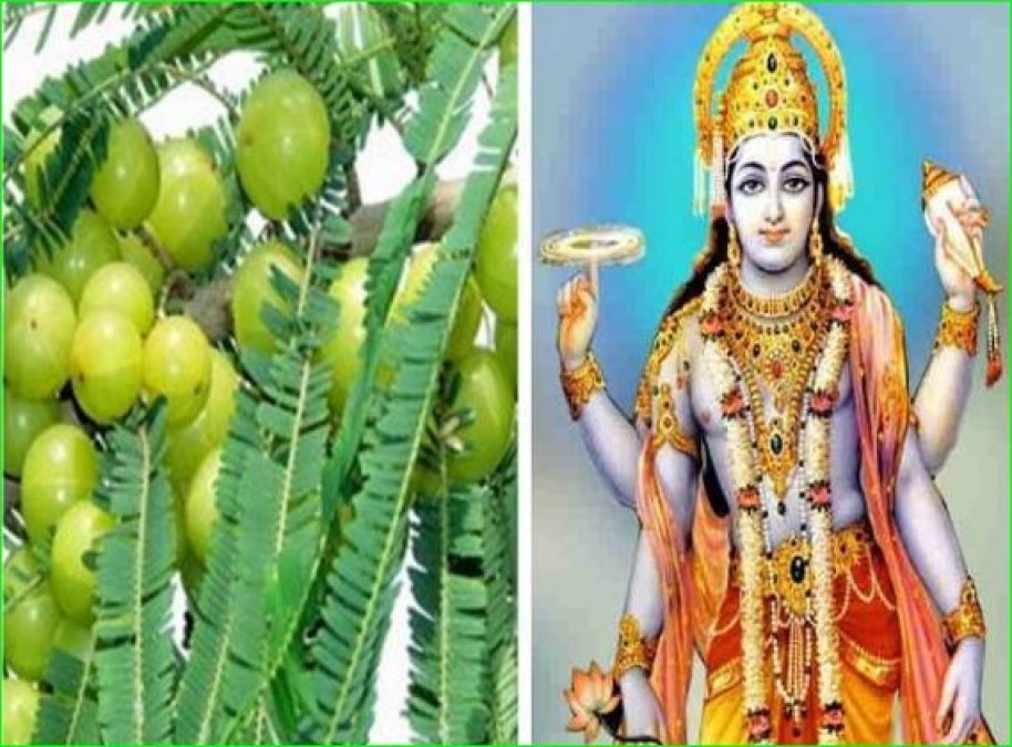 Akshay Navami: Date, Significance, Mahurata and other details