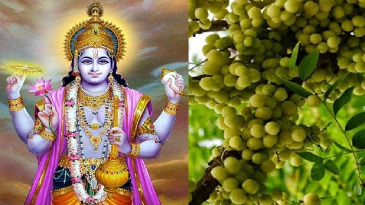 When is Amla Navami? Know the method of worship of this fast.