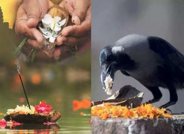 Don't Overlook These Signs During Pitru Paksha – They Hold Meaning