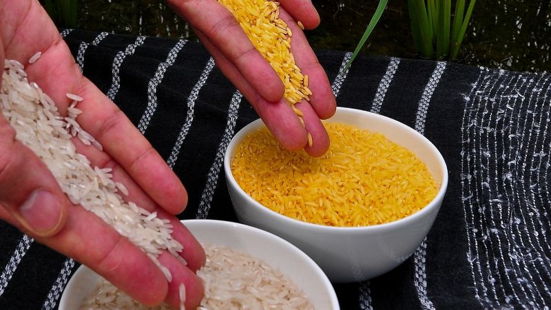 जीवन की सभी समस्याओं से मुक्ति दिलाते है चावल के ये उपाय