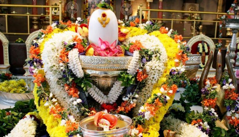 जानिए क्या है शिव पूजा में रुद्राभिषेक का महत्त्व