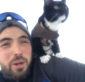 Video : इस चतुर बिल्ली का ये वीडियो देखकर आप भी हैरान रह जायेंगे