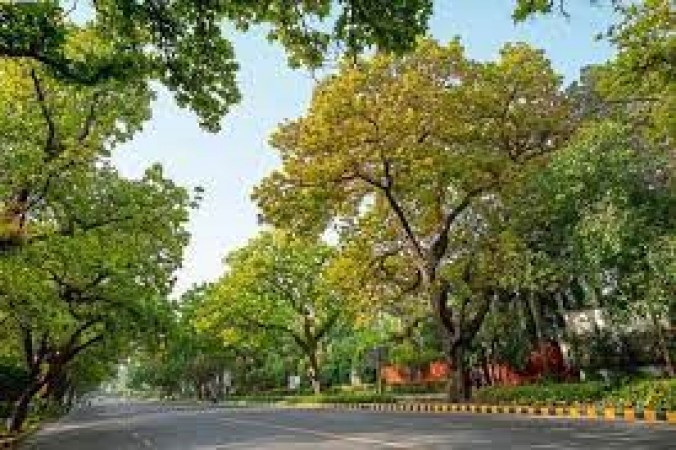 नई दिल्ली स्टेशन पर लगाया गया 25 लाख रुपये का पेड़, क्या आपने देखा?