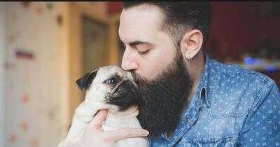 Here a Study shows dirty facts about men beard and compares it dog’s fur