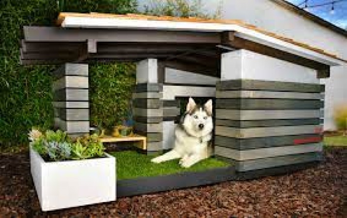 Step-by-Step Guide: Constructing a Comfortable Dog House for Your Pet