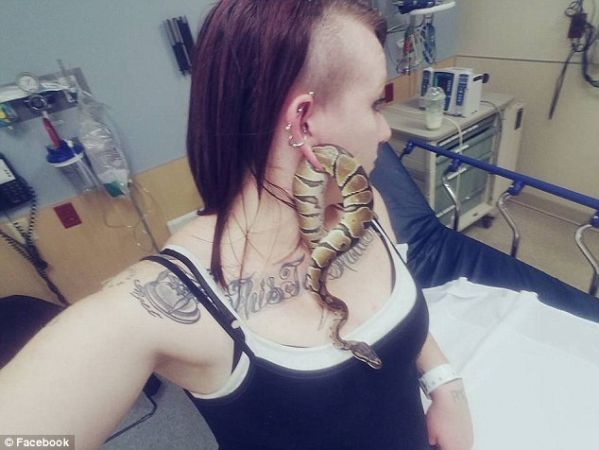 Pet Python gets stuck in the ear of this woman