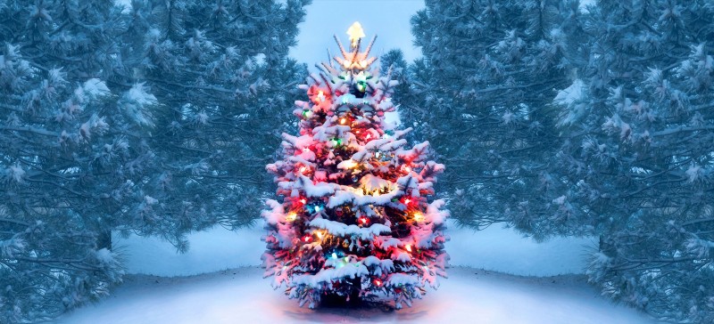 Why is the Christmas tree special for Christians? And what is the real name of the Christmas tree?