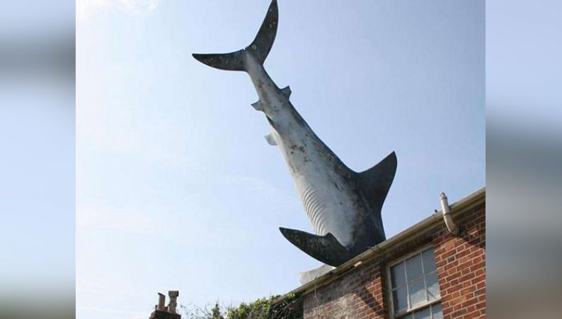 Have you ever seen Bizarre House With Shark on Roof?