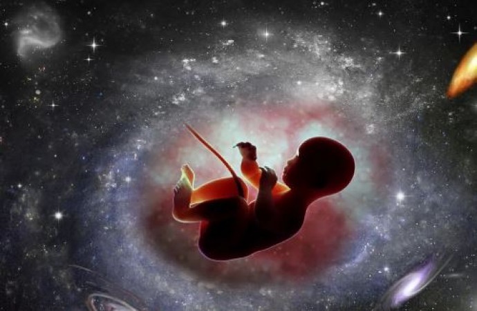 Children will be born in space, Big experiment by a space company, Know how