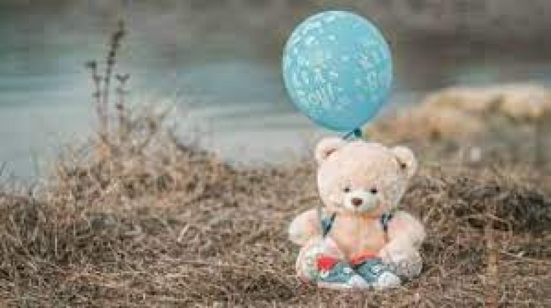How Teddy Day started, know its history