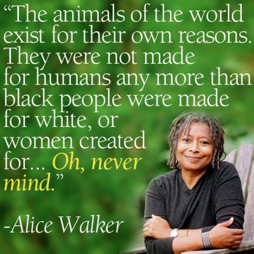 Motivational and Powerful Quotes by Alice Walker