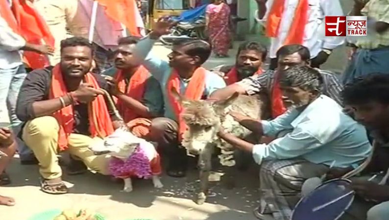 Hindu group gets a dog and a donkey married in protest against Valentine’s Day