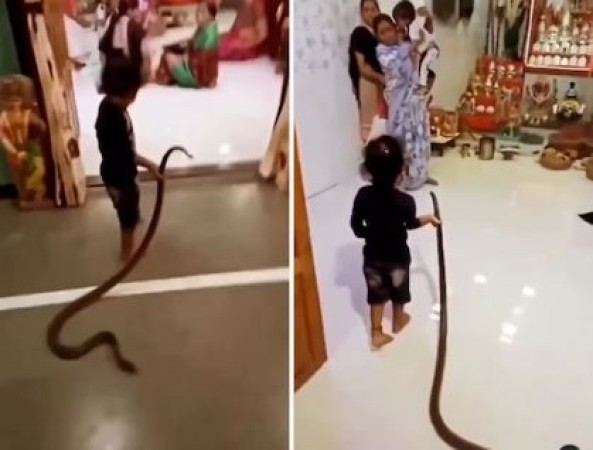 Watch, Small Boy holding snake like a toy enters the Temple, video went viral
