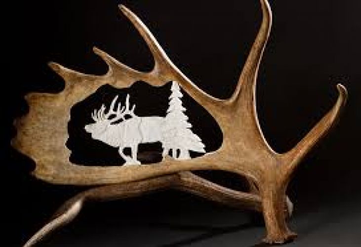 'Carved Antlers' are one of the most famous decoratives for home