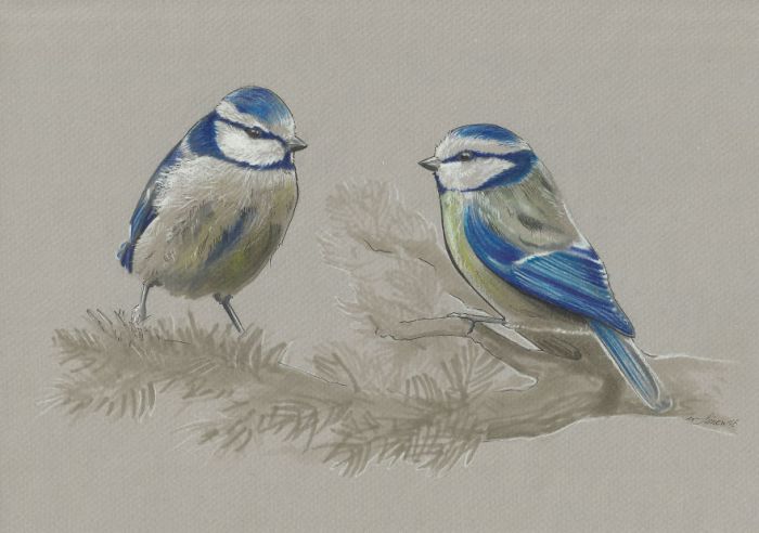 'Mini birds' sketch looks realistic and pretty !