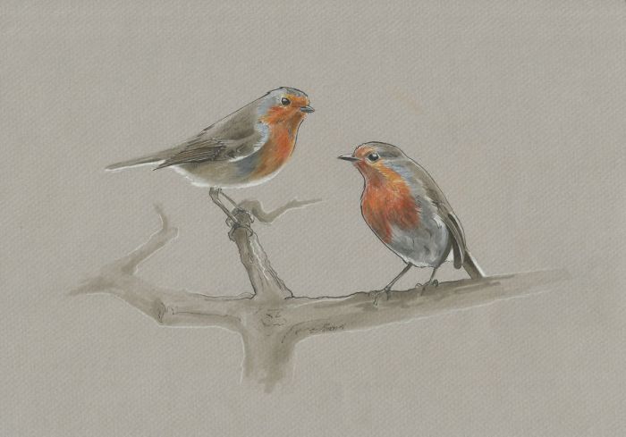 'Mini birds' sketch looks realistic and pretty !