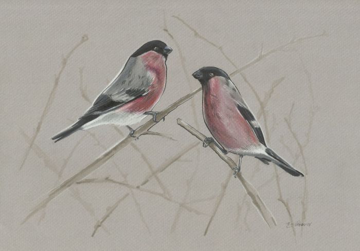 'Mini birds' sketch looks realistic and pretty !