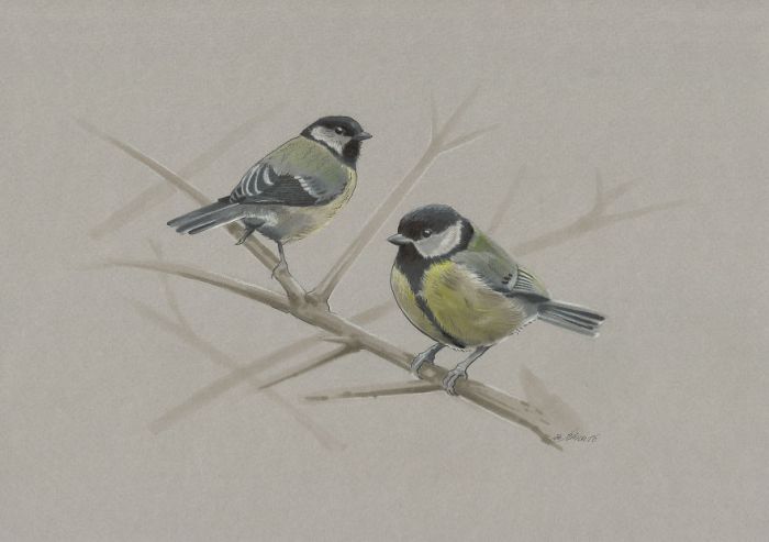 'Mini birds' sketch looks realistic and pretty !