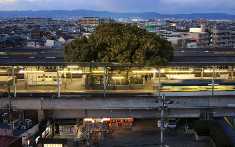 Train station of 'Osaka' is built around 700 year old tree to signify 'harmony'