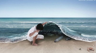 Environment: The Impact of Plastic Pollution on Marine Life